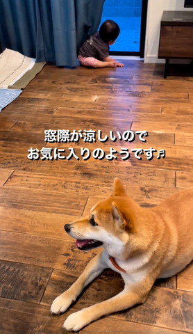 座って窓際みる赤ちゃん