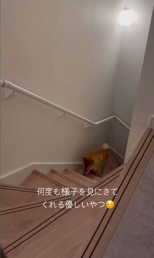 階段上る快くん