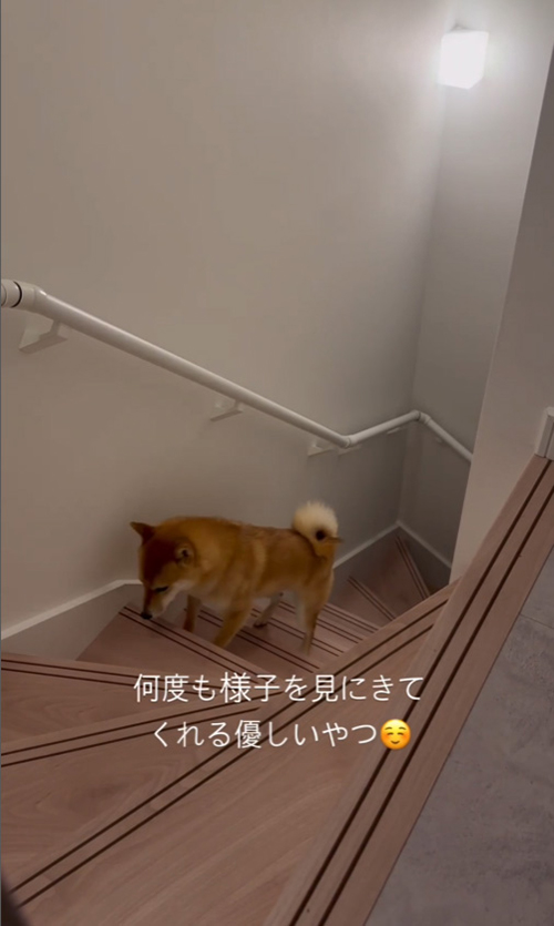 上から6段目快くん