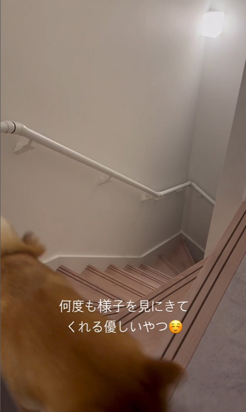 上りきった快くん