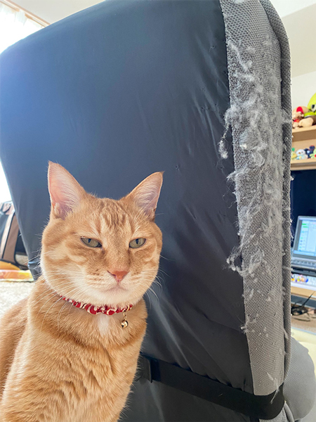 ゲーミング座椅子と猫