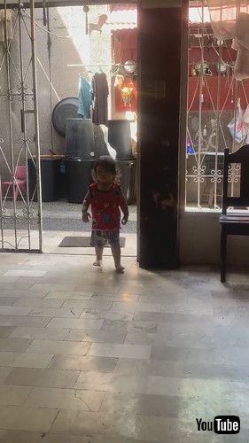 「Every Dog Gets A Kiss || ViralHog」