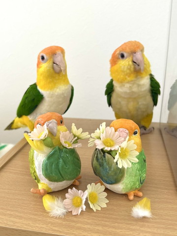 インコ2羽と人形