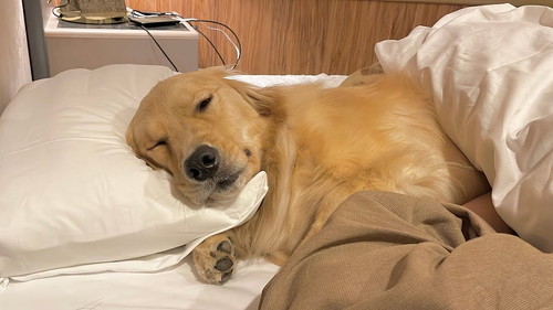 おすすめ
