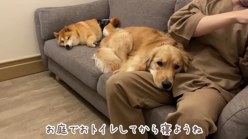 ソファでぐったり