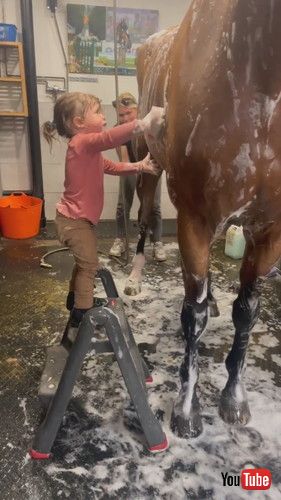 「2-Year-Old Helps Bathe Show Horse || ViralHog」