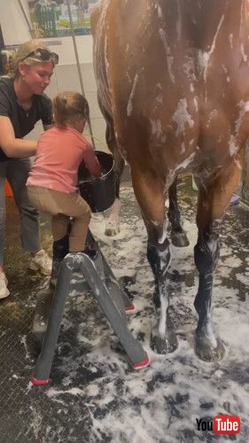 脚立に登って……