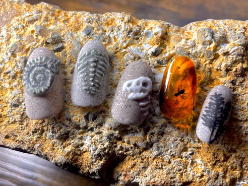 「化石ネイル」