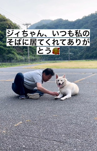 屋外に座るじいちゃんとワンコ