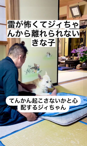 おじいちゃんになでられて目あけるワンコ