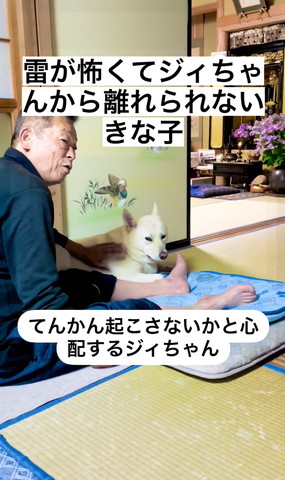 ワンコなでながら話すおじいちゃん