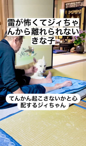 おじいっちゃんに顔付近なでられて目つむるワンコ