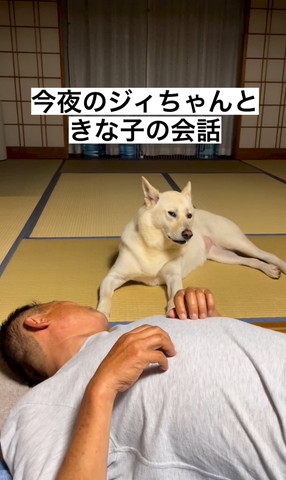 寝転がるじいちゃんと伏せするワンコ