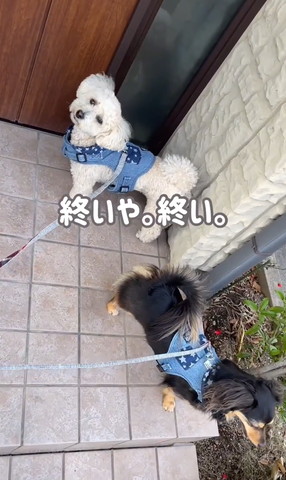 終いやテロップ