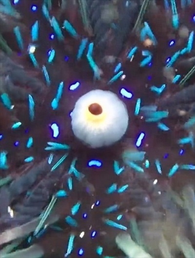 もとに戻る画像