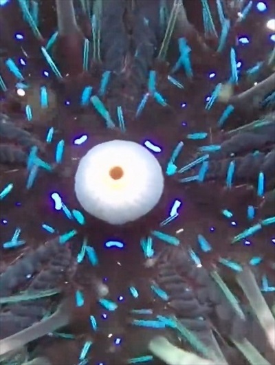 ステージのような真ん中の部分