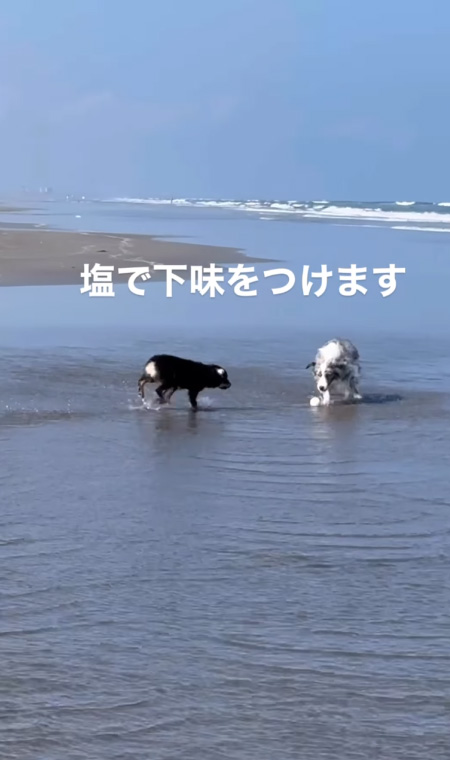 下味をつけますアップ