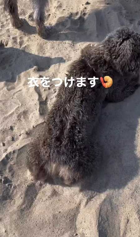 砂にすわりこみ