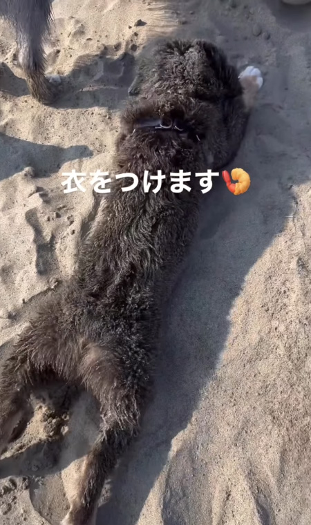 後ろあしのばし