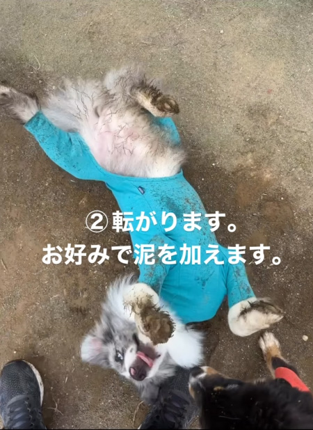 完成リンクくん