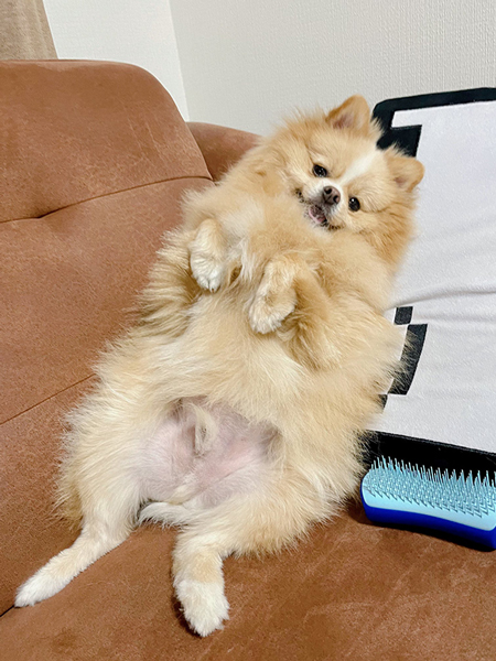 くつろぎ方のクセが強い