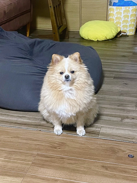 トイレ行くから見にきて