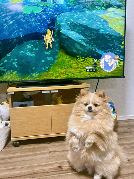 意地でも視界に入ってこようとする