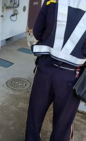 走ってくるワンコと郵便屋さん後ろ姿