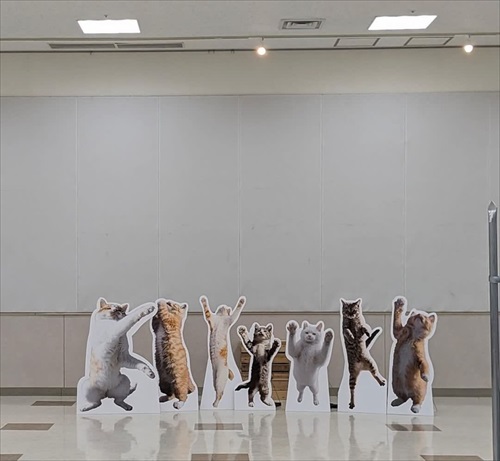 山本正義さん写真展