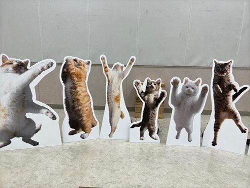 山本正義さん写真展