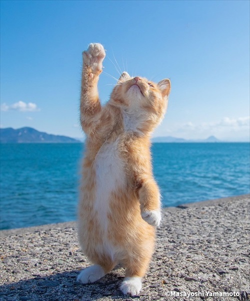 山本正義さん写真展