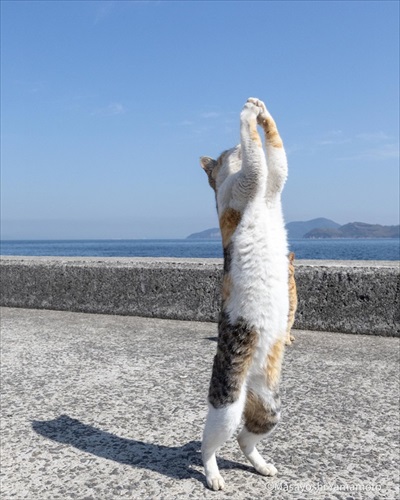 山本正義さん写真展