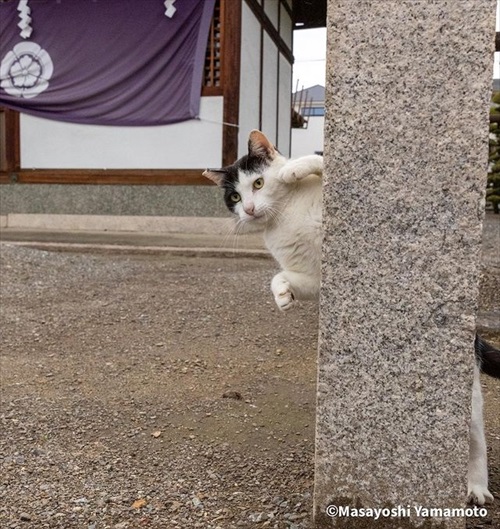 山本正義さん写真展