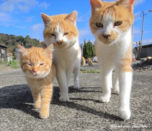 山本正義さん写真展