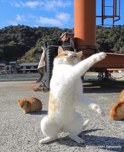 山本正義さん写真展