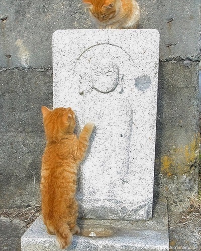 山本正義さん写真展