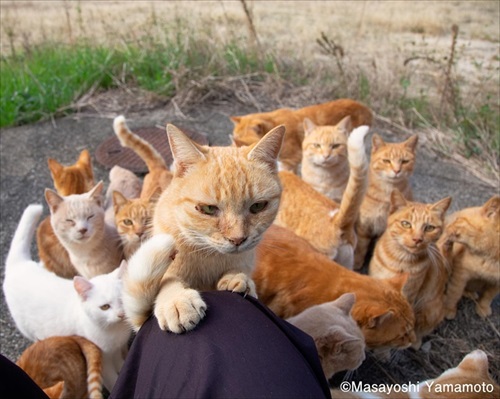 山本正義さん写真展