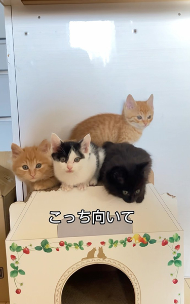 記念撮影