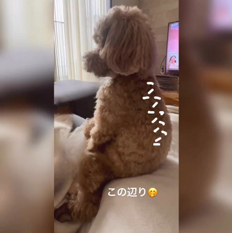 この辺りテロップ