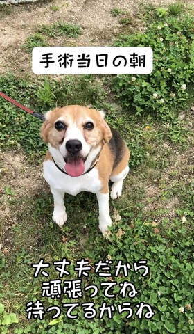 手術当日の朝テロップ