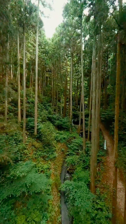 岐阜県　岩門の滝　黄泉の国　ドローン