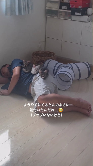 良さに気付いた