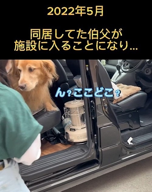同居していた伯父さんに会いに行く大型犬