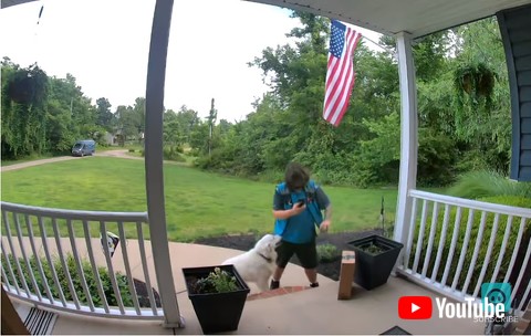 配達員とデカワンコ