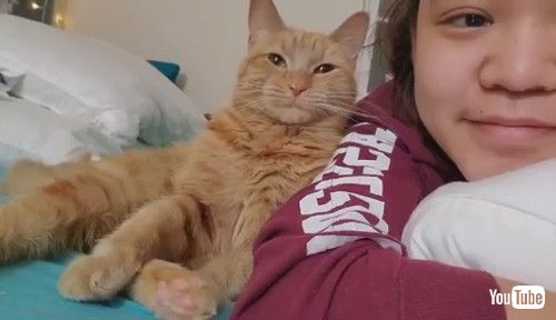 相思相愛な飼い主と猫