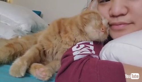 相思相愛な飼い主と猫