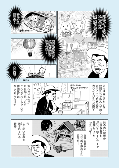 おじさんがシルバニアファミリーの推し活をしてみた