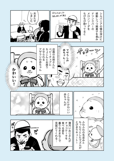 おじさんがシルバニアファミリーの推し活をしてみた