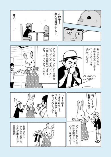 おじさんがシルバニアファミリーの推し活をしてみた