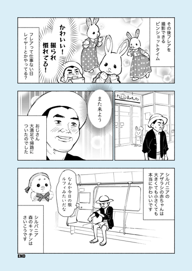 おじさんがシルバニアファミリーの推し活をしてみた